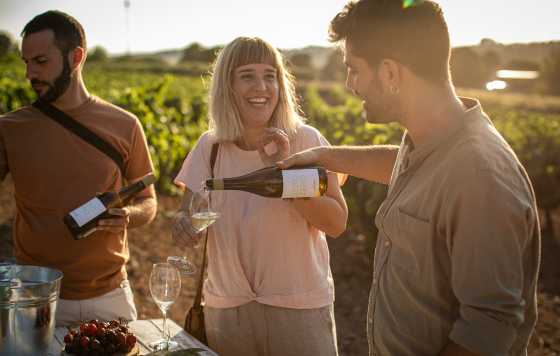 Tecnovino- vino desalcoholizado Le Naturel Zero Zero Blanco y Tinto