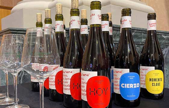 Tecnovino - DO Cariñena, vinos garnacha, Aragón, Colaboración, Bodegas