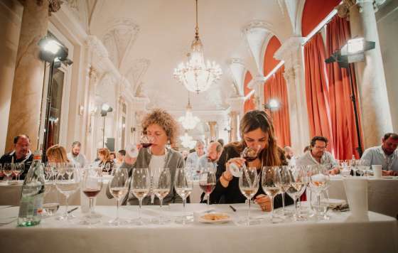 Tecnovino- Premio Vila Viniteca de Cata por Parejas, concurso catas de vinos