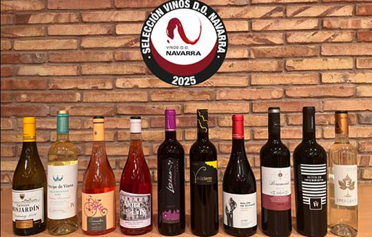 Tecnovino- Selección Vinos DO Navarra 2025