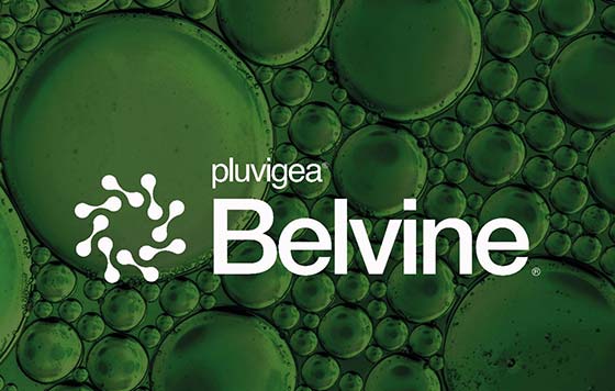 Tecnovino- biofungicida vid contra mildiu y oídio, Belvine de Veganic